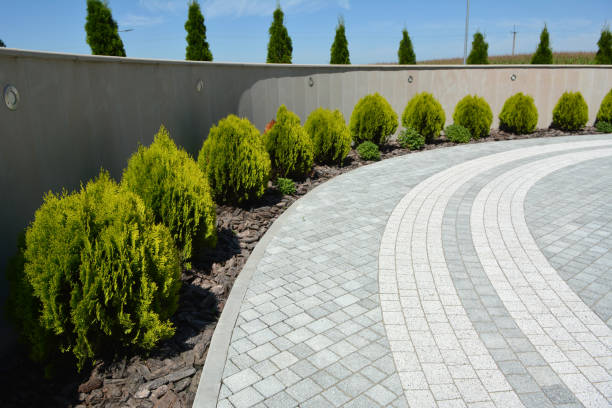 Best Driveway Paving Near Me  in Candor, NC